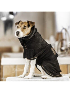 Manteau-serviette Pour Chien Kentucky -Chien Produits Boutique couverture chien towel kentucky 4