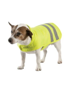 Couverture Chien Visibilité Equi-theme