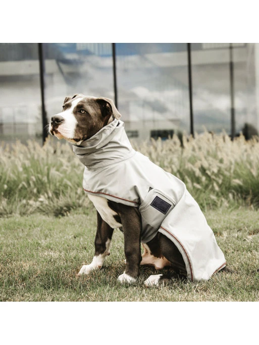 Couverture De Pluie Chien Kentucky 3 Couverture De Pluie Chien Kentucky – Image 3