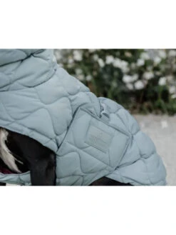 Couverture D'hiver Pour Chien Pina 160g Kentucky -Chien Produits Boutique couverture hiver pour chien pina 160g kentucky equipement 3