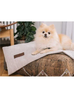 Couverture Homey Fantail 7 Couverture Homey Fantail -Chien Produits Boutique couverture homey fantail 3