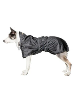 Couverture Imperméable Pour Chien Back On Track