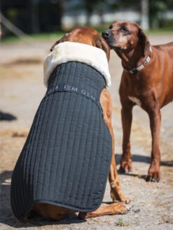 Couverture Pour Chien GEM -Chien Produits Boutique couverture matelassee pour chien gem 2