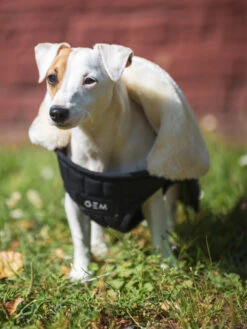 Couverture Pour Chien GEM