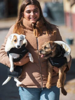 Couverture Pour Chien GEM -Chien Produits Boutique couverture matelassee pour chien gem 3