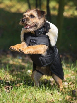 Couverture Pour Chien GEM -Chien Produits Boutique couverture matelassee pour chien gem 8