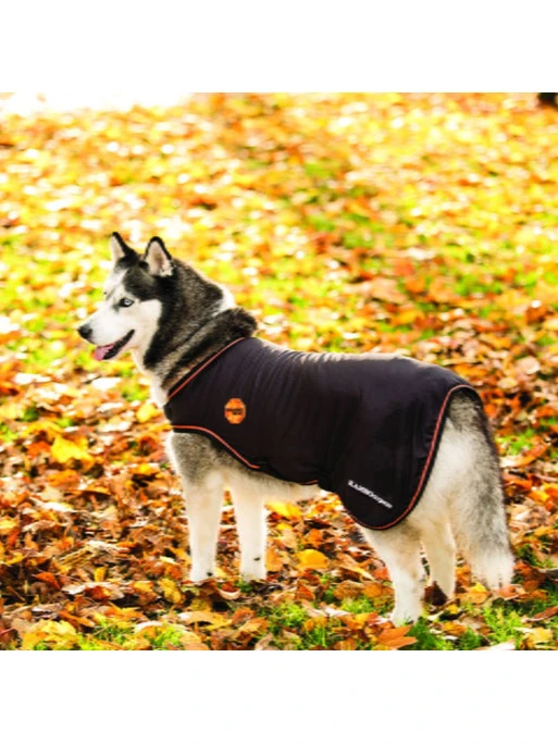 Couverture Rambo Ionic Dog Rug Horseware 1 Couverture Rambo Ionic Dog Rug Horseware