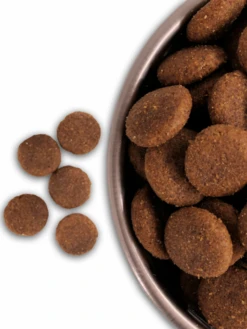 Croquettes Artic Pro 30/20 Nature Dog 15kg -Chien Produits Boutique croquettes artic pro 3020 20 kgs 2