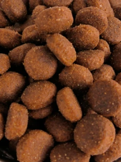 Croquettes Junior 28/18 Nature Dog 15 Kg