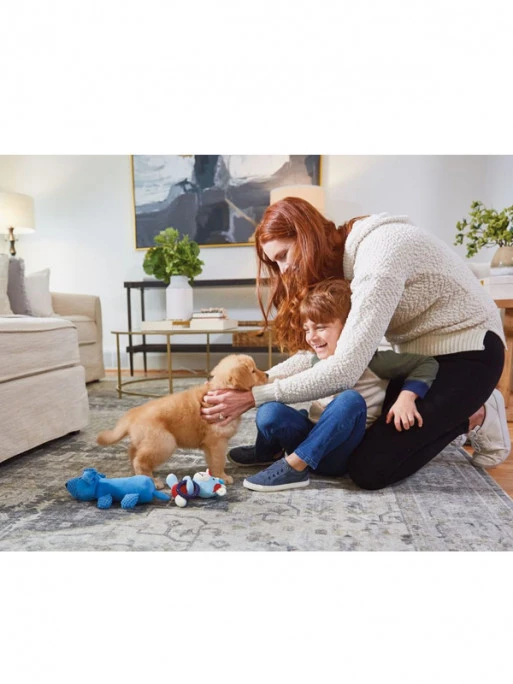 Destructeur D'odeurs Biotec Chien/chiot 118ml Urine Off 1 Destructeur D'odeurs Biotec Chien/chiot 118ml Urine Off