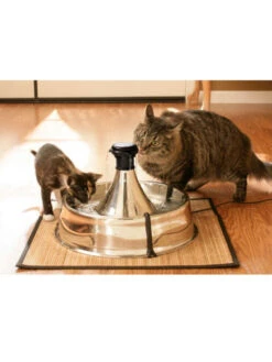 Fontaine 360 Drinkwell Inox PetSafe -Chien Produits Boutique fontaine 360 drinkwell inox petsafe 4