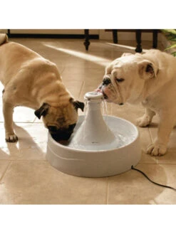 Fontaine 360 Drinkwell Plastique PetSafe -Chien Produits Boutique fontaine 360 drinkwell plastique petsafe 4