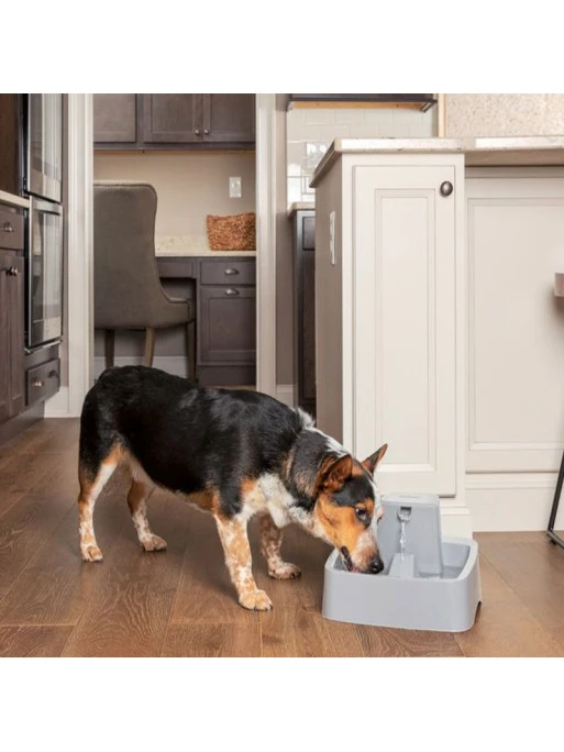 Fontaine 3.7L Drinkwell Petsafe 1 Fontaine 3.7L Drinkwell Petsafe