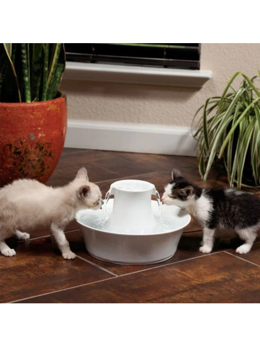 Fontaine Céramique Drinkwell Avalon 2L PetSafe 1 Fontaine Céramique Drinkwell Avalon 2L PetSafe