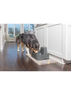 PetSafe Fontaine Drinkwell - 7.5L -Chien Produits Boutique fontaine drinkwell 75l 3