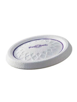 Frisbee Ultra Résistant Gigwi 22cm Bubimex