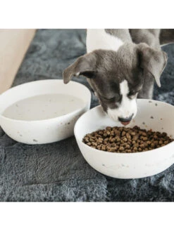 Gamelle Pour Chien Bamboo Terrazzo Kentucky -Chien Produits Boutique gamelle pour chien bamboo terrazzo kentucky 3