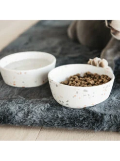 Gamelle Pour Chien Bamboo Terrazzo Kentucky -Chien Produits Boutique gamelle pour chien bamboo terrazzo kentucky 7