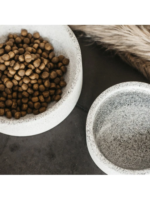 Gamelle Pour Chien Granit Kentucky 3 Gamelle Pour Chien Granit Kentucky – Image 3