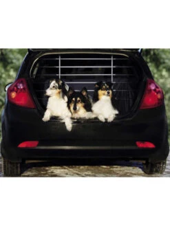 Grille De Sécurité Voiture Nobby