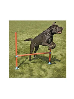 Rosewood Haie Agility Garden