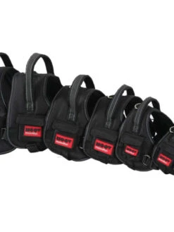 Harnais Confort Réglable Zolux