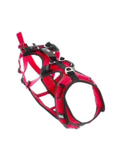 Harnais Confort TREK I-dog