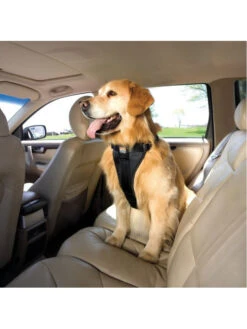 Kurgo Harnais De Sécurité Tru-Fit Pour Chien -Chien Produits Boutique harnais de securite tru fit pour chien 2