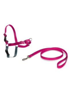 PetSafe Harnais Easy Walk Framboise