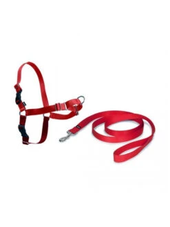 PetSafe Harnais Easy Walk Rouge