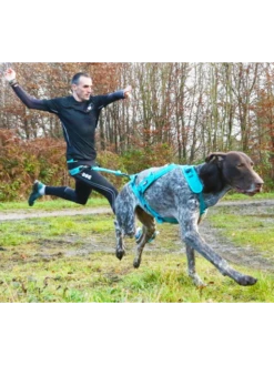 Harnais X-Back Phoenix ALM I-DOG