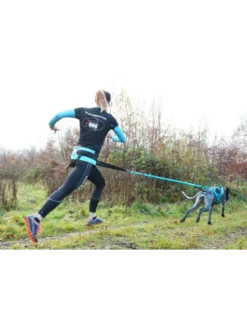 Harnais X-Back Phoenix ALM I-DOG 10 Harnais X-Back Phoenix ALM I-DOG -Chien Produits Boutique harnais phoenix gamme alm bleu 4