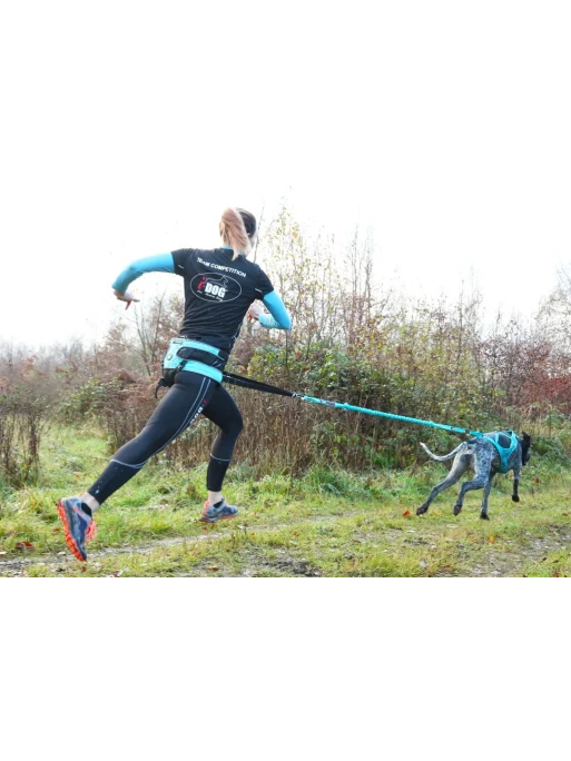 Harnais X-Back Phoenix ALM I-DOG 5 Harnais X-Back Phoenix ALM I-DOG – Image 5