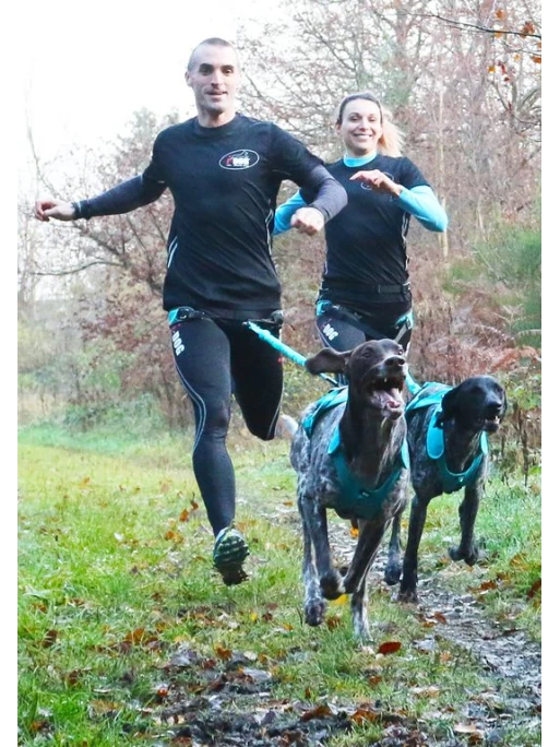 Harnais X-Back Phoenix ALM I-DOG 6 Harnais X-Back Phoenix ALM I-DOG – Image 6