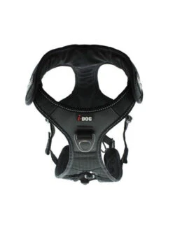 Harnais Raidlight I-Dog -Chien Produits Boutique harnais raidlight i dog 5