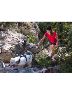 Harnais Raidlight I-Dog -Chien Produits Boutique harnais raidlight i dog 6