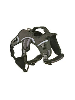 Harnais / Sac à Dos 2 En 1 Lead & Travel