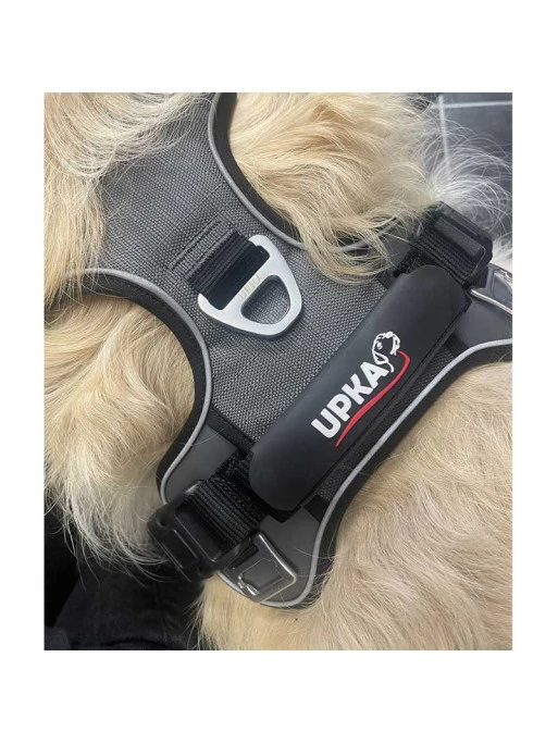 Harnais Style I-Dog 3 Harnais Style I-Dog – Image 3