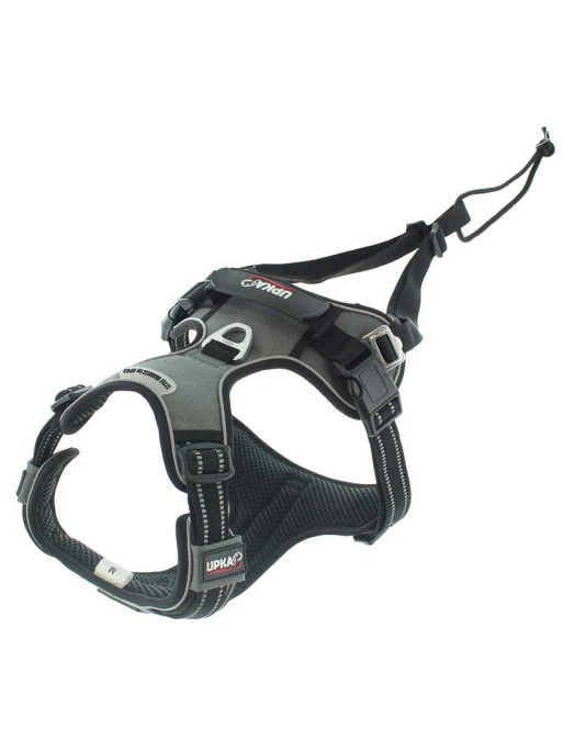 Harnais Style I-Dog 1 Harnais Style I-Dog