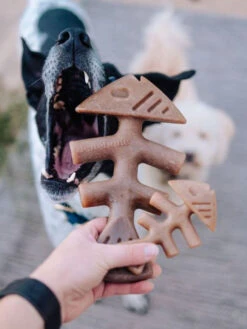 Jouet à Mâcher Fishbone Benebone -Chien Produits Boutique jouet a macher fishbone benebone jouet a mastiquer chien 4