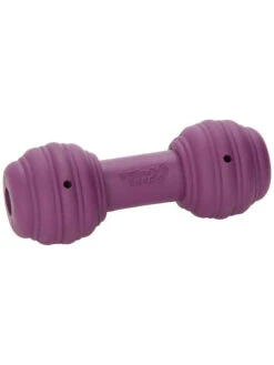 PetSafe Jouet Busy Buddy Chuckle M/L