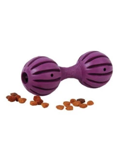 PetSafe Jouet Busy Buddy Waggle -Chien Produits Boutique jouet busy buddy waggle 2