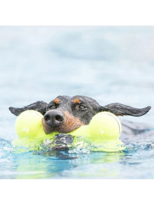 Jouet Chien Squeaker Bone Kong 2 Jouet Chien Squeaker Bone Kong – Image 2