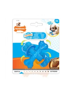 Jouet Chiot X Bone Nylabone