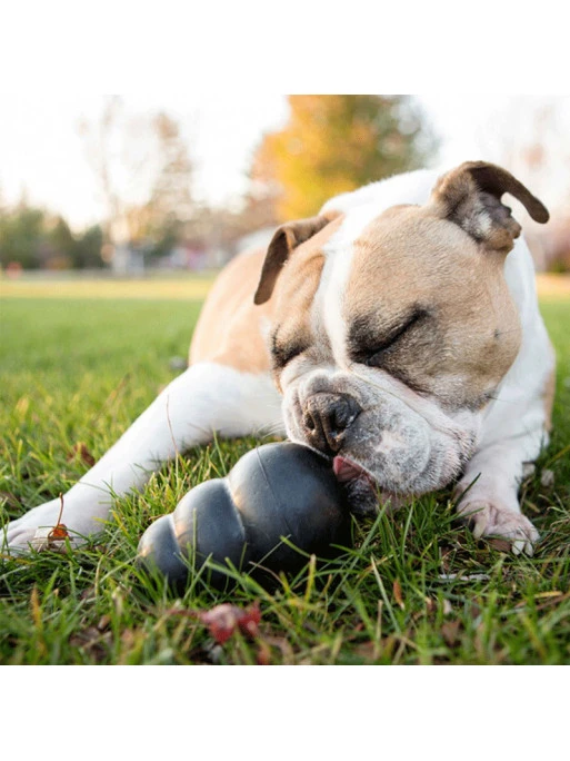 Jouet Extreme Kong 1 Jouet Extreme Kong