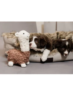 Jouet Pour Chien Alpaga Alfredo Kentucky -Chien Produits Boutique jouet pour chien alpaga alfredo kentucky 2