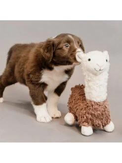 Jouet Pour Chien Alpaga Alfredo Kentucky