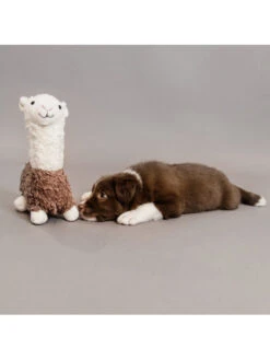 Jouet Pour Chien Alpaga Alfredo Kentucky -Chien Produits Boutique jouet pour chien alpaga alfredo kentucky 3