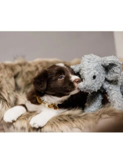 Jouet Pour Chien Elephant Elsa Kentucky -Chien Produits Boutique jouet pour chien elephant elsa kentucky 2