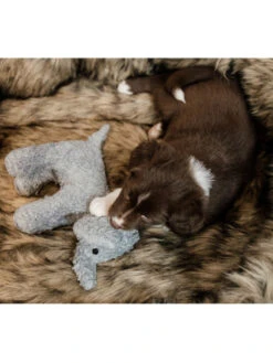 Jouet Pour Chien Elephant Elsa Kentucky -Chien Produits Boutique jouet pour chien elephant elsa kentucky 3